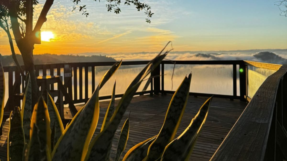 Entre o silêncio do amanhecer e o ‘mar de nuvens’: café da manhã encanta turistas em SC