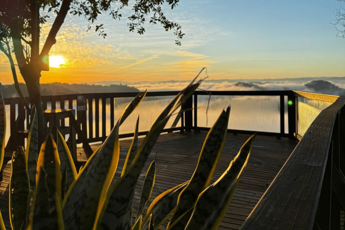 Entre o silêncio do amanhecer e o ‘mar de nuvens’: café da manhã encanta turistas em SC