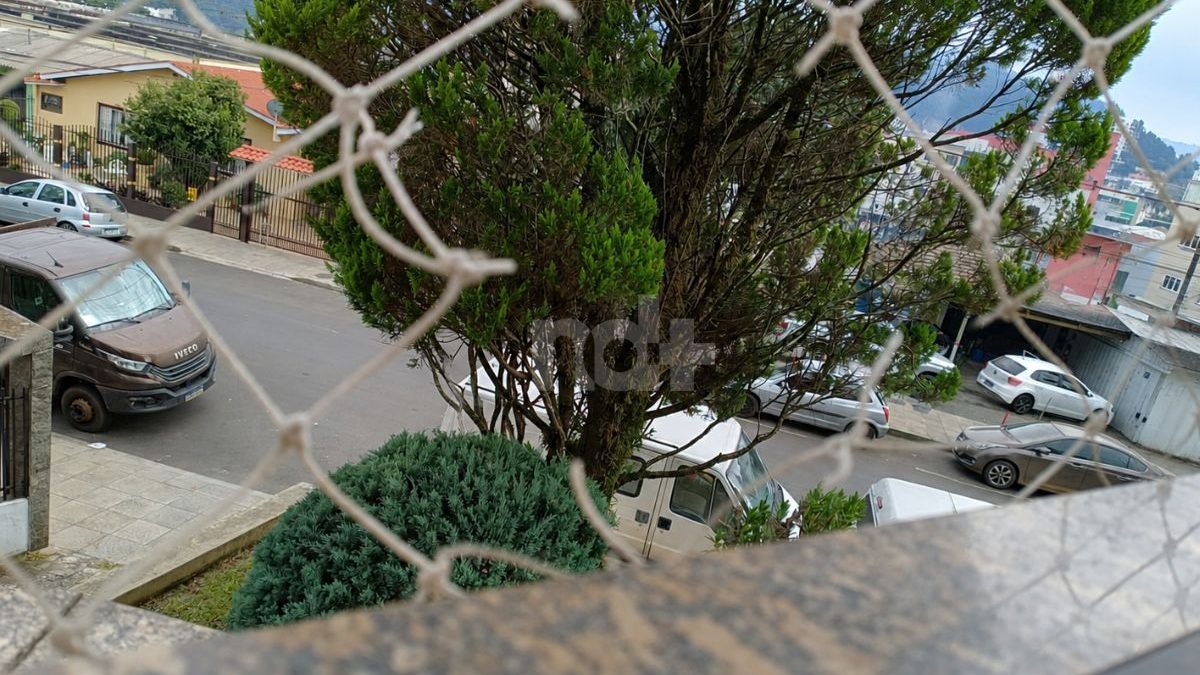 Telas cortadas e gatos desaparecidos: laudo revela cenário crítico em apartamento de SC
