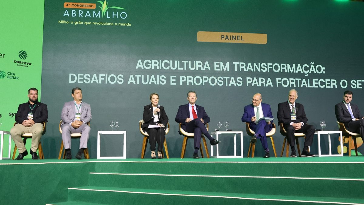 SC enfrenta ‘tempestade perfeita’ do agro entre crise no campo e dependência do milho