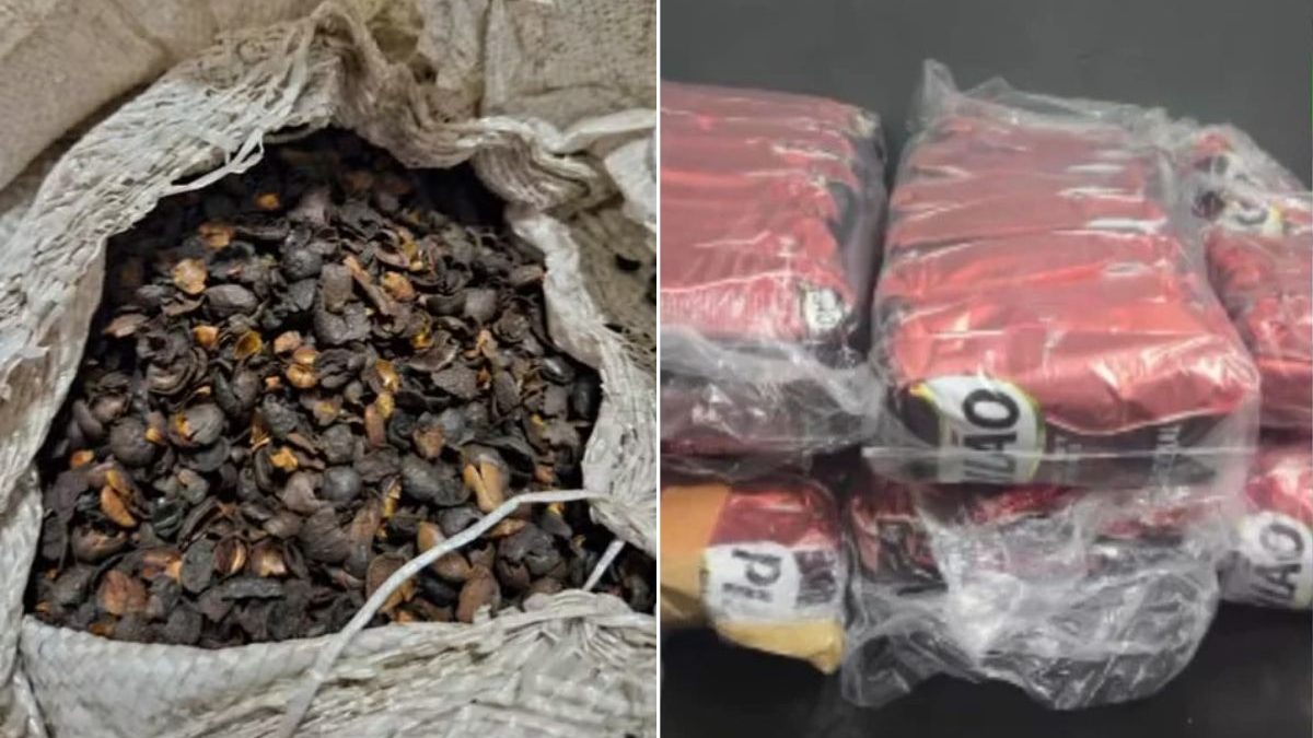 ‘Sem qualidade’: 82 toneladas de café falsificado são apreendidos em sete estados