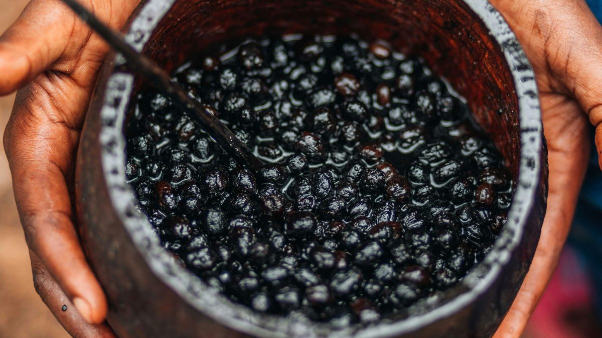 Gigante chinesa anuncia compra de 15 mil toneladas de açaí do Brasil pelos próximos 5 anos