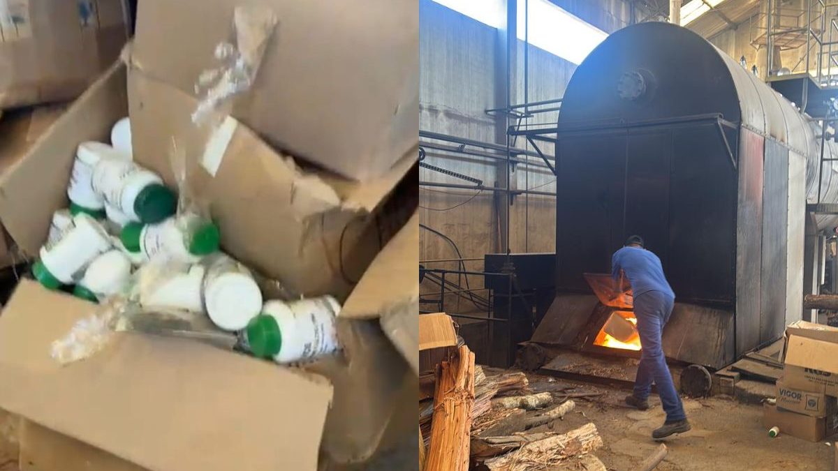 Meia tonelada de fitoterápicos é incinerada após prisão de curandeiro em SC