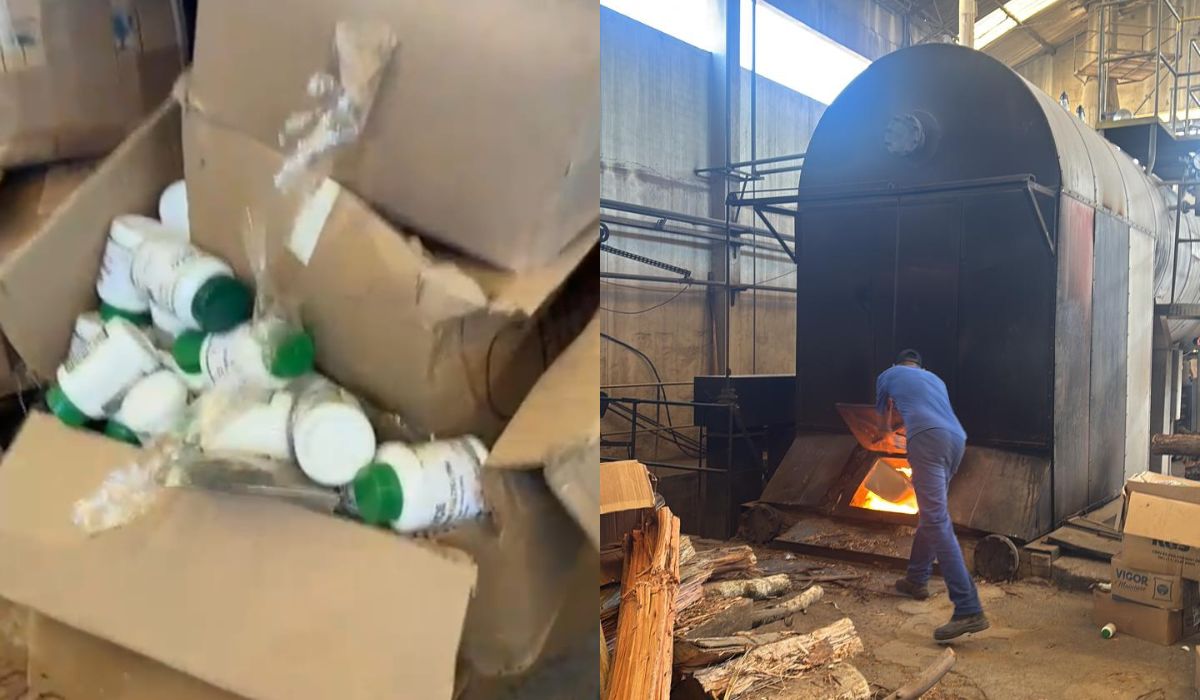 Meia tonelada de fitoterápicos é incinerada após prisão de curandeiro em SC