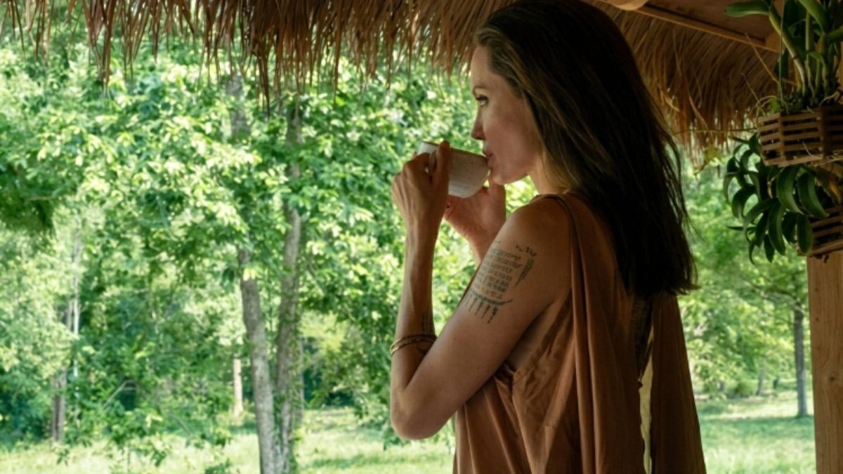‘Selva particular’: Angelina Jolie comprou reserva maior que 84 mil campos de futebol