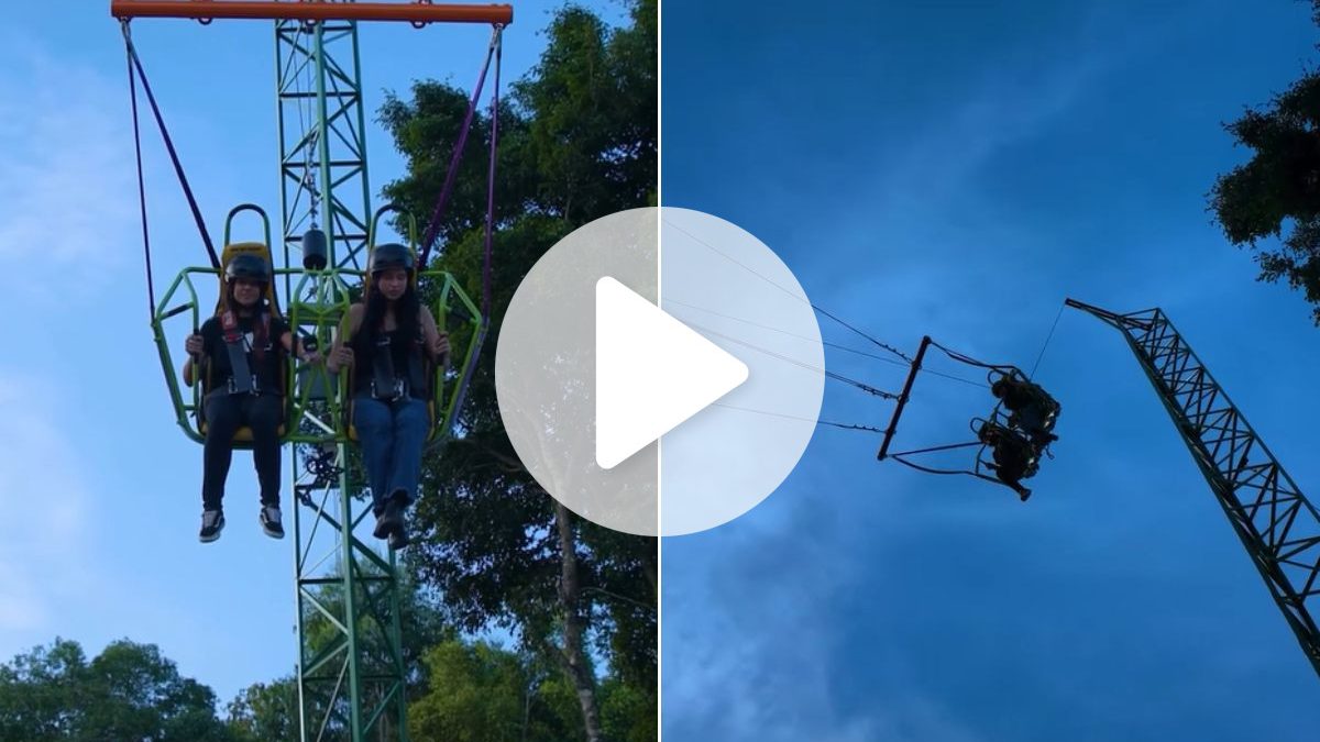 Balanço gigante com vista surreal desafia visitantes a 25 metros de altura em SC