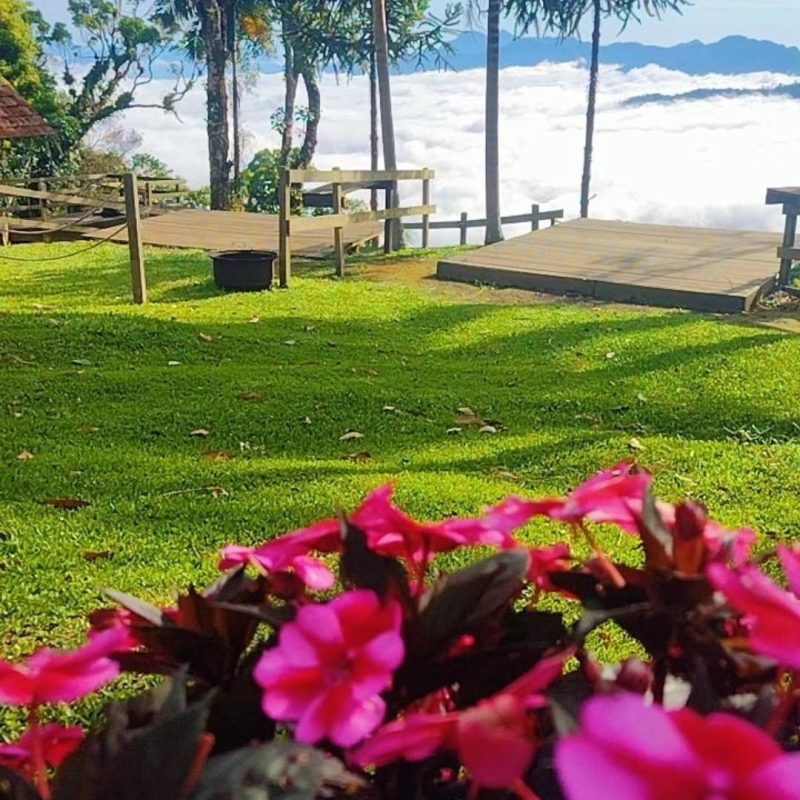 Das altura é possível ver paisagens deslumbrantes com contato a natureza e uma 