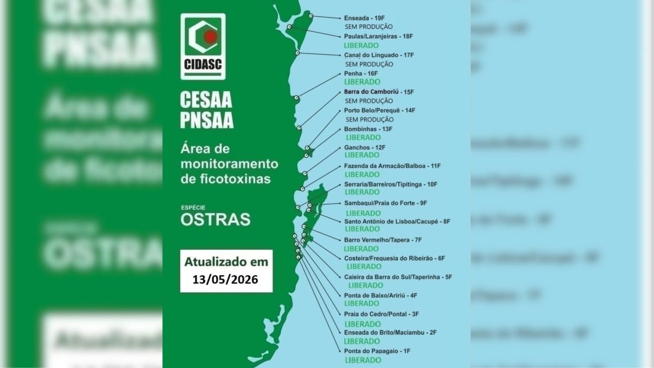 Após alerta de toxina, Penha recebe sinal verde para consumo de ostras