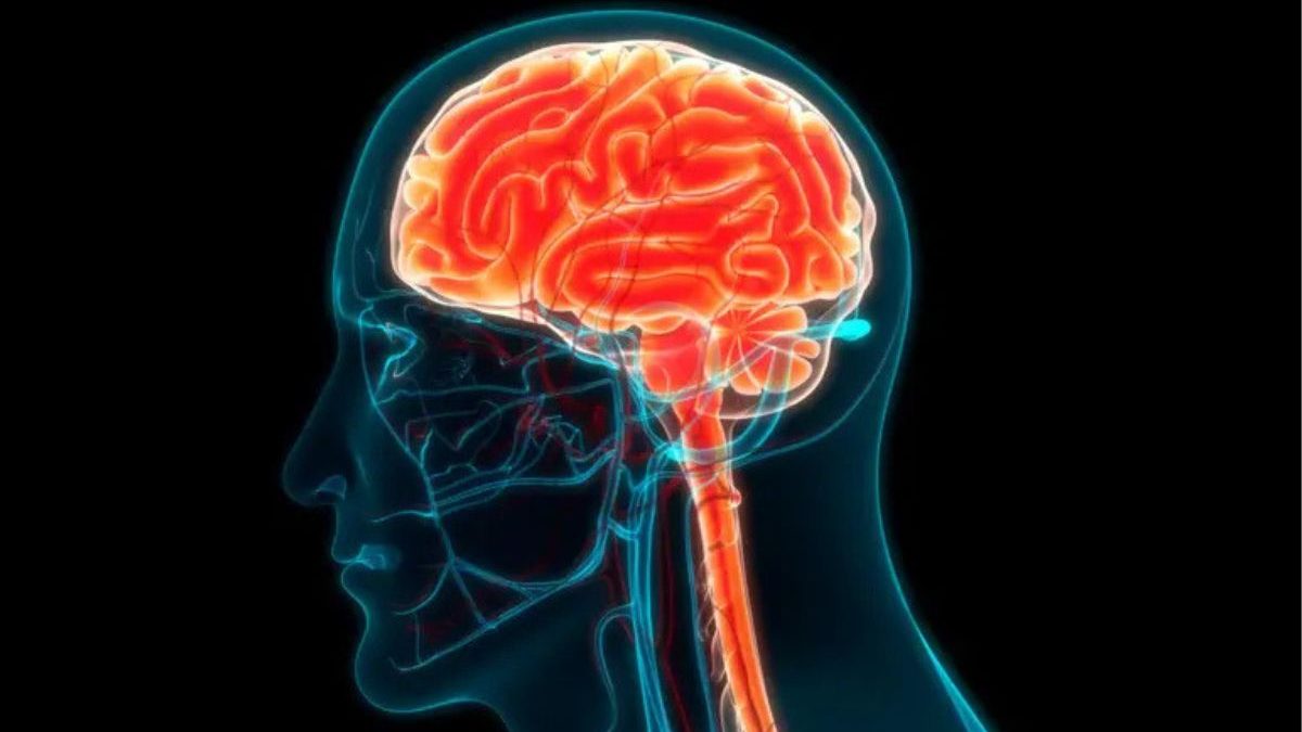 Esquecimento ou doença? Estudo inédito revela que 2 milhões de brasileiros têm demência