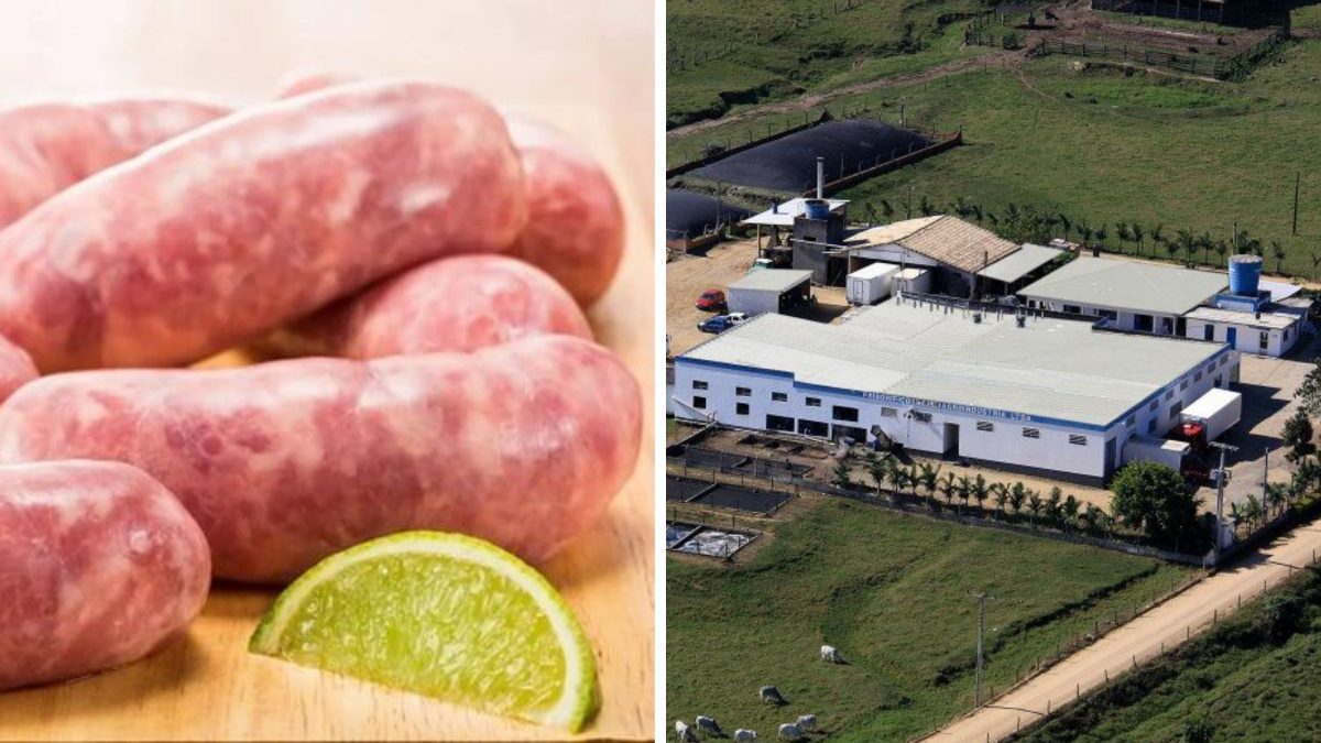 Empresa de SC tem lote de linguiça apreendido após análise apontar contaminação