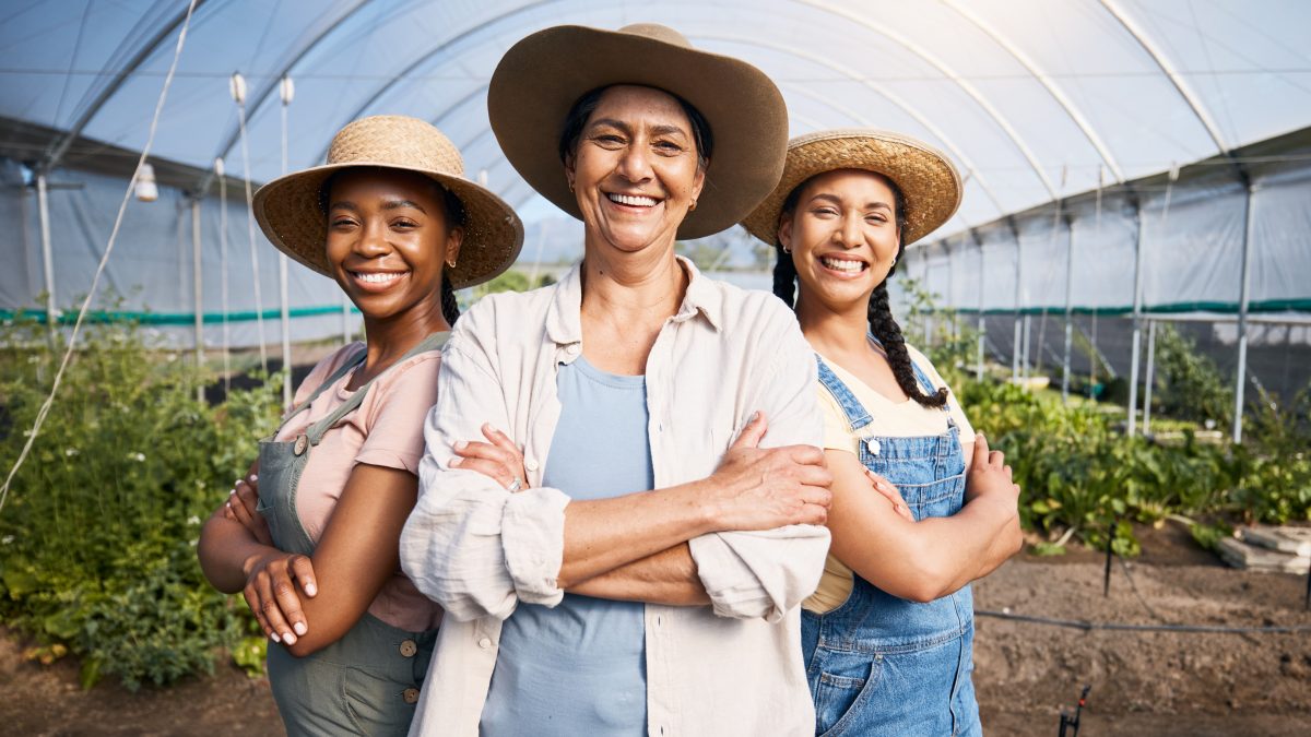 Agroindústrias familiares transformam a agricultura rural em Santa Catarina