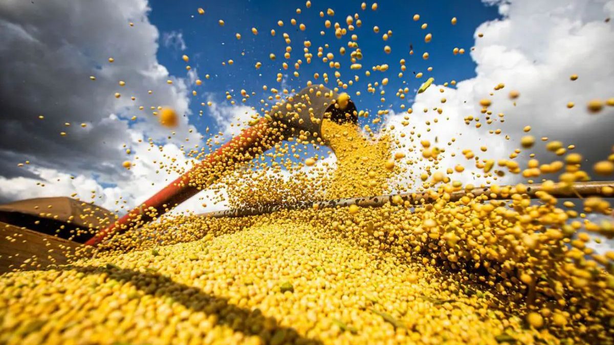 Semana quente para o agro: pauta do Congresso mira dívidas, crédito e fertilizantes
