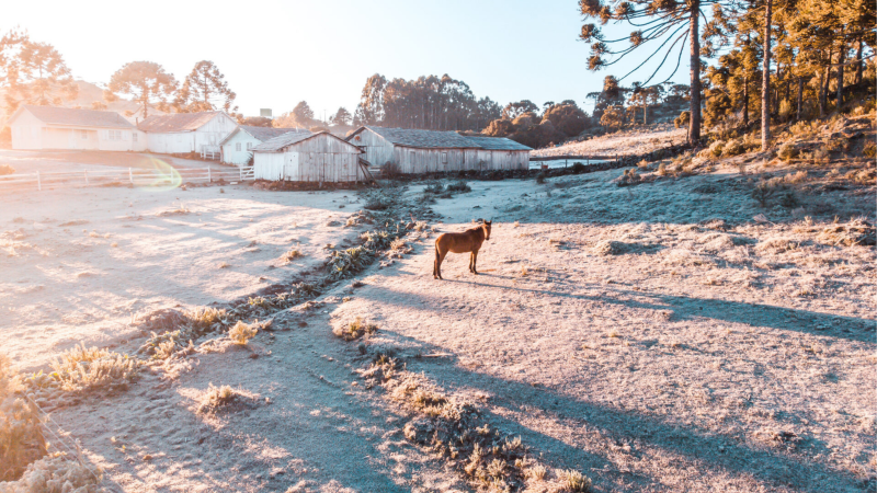 As belezas no inverno de Urupema na Serra catarinense - Divulgação/Marlon Sá Molin/ND