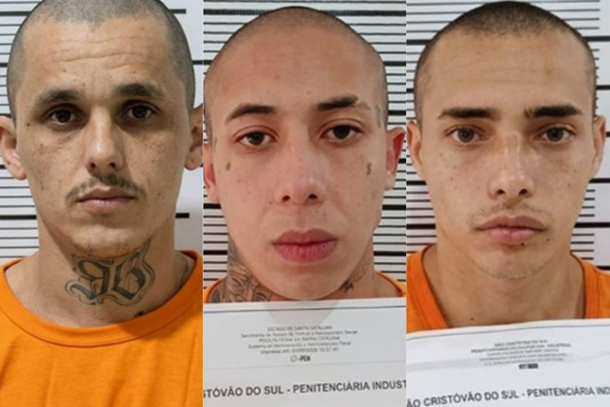 Imagem da notícia - ND Mais