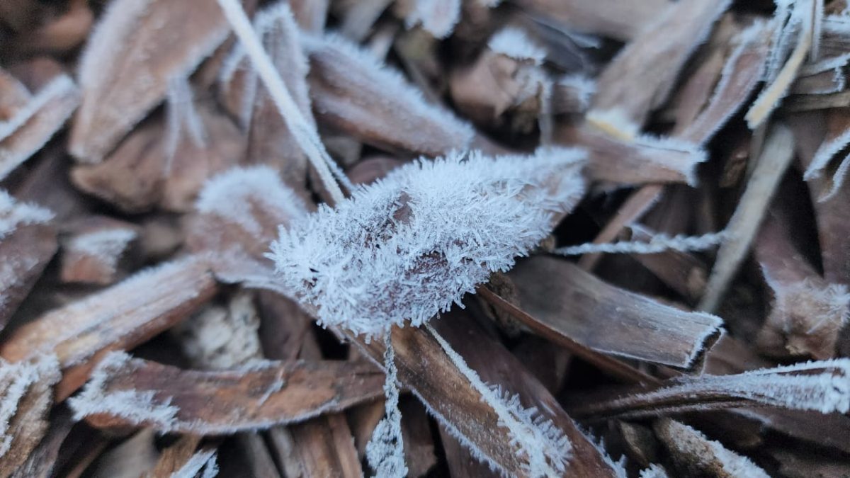 Geada e mínimas de 4ºC: Inmet mantém alerta para queda de temperatura em duas regiões