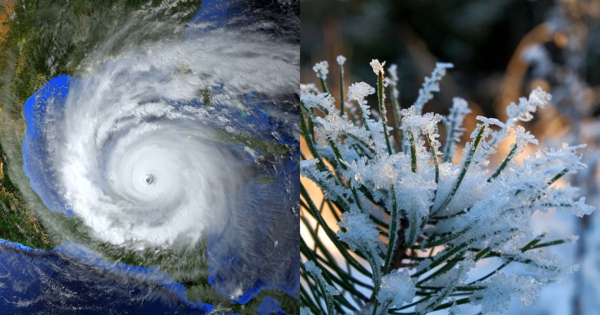 ‘Geada na lama, chuva na cama’: super El Niño deve provocar inverno imprevisível em SC