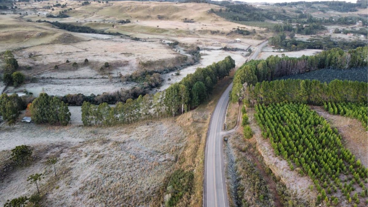 FOTOS: SC passa pelo terceiro dia seguido de geadas e termômetros ‘congelam’ com -5,2°C
