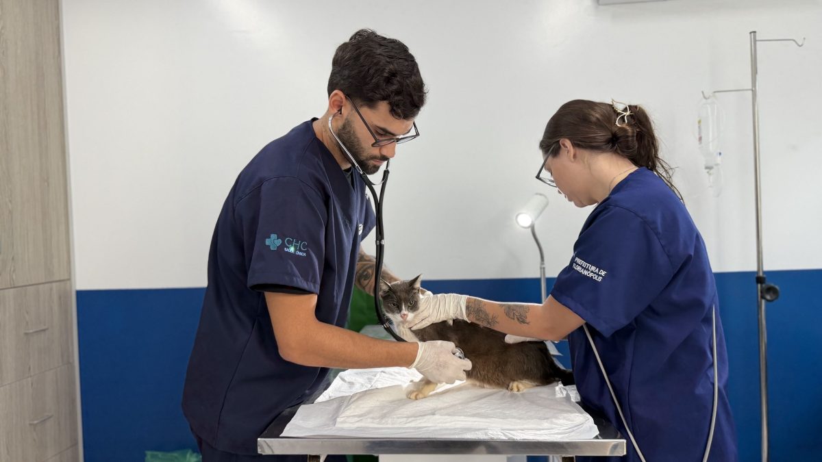 Hospital veterinário de Florianópolis ultrapassa 3,4 mil procedimentos no primeiro mês