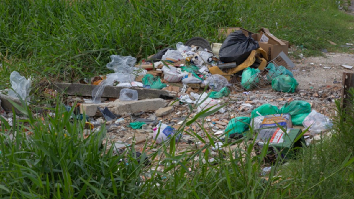 Donos de terrenos baldios podem pagar multas de até 5 mil por descuido em Florianópolis