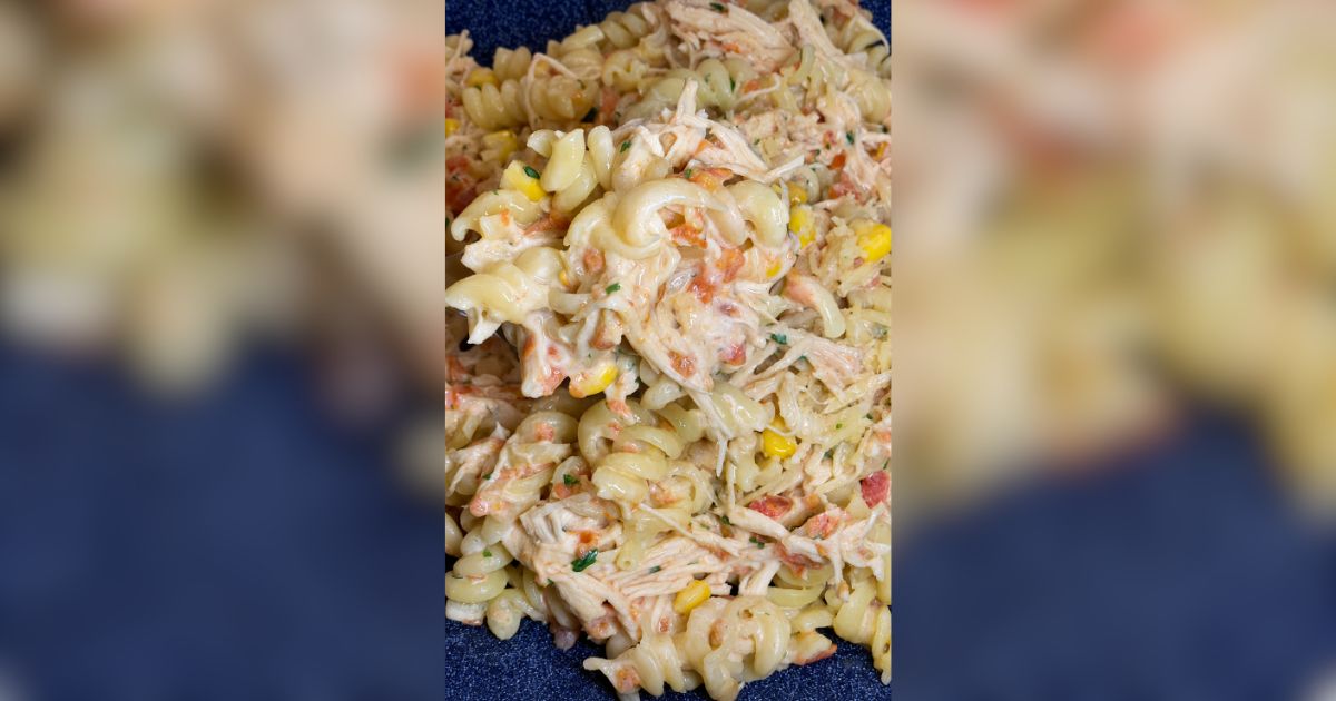 ‘Macarrão de preguiçoso’ super cremoso e rápido com frango desfiado; confira
