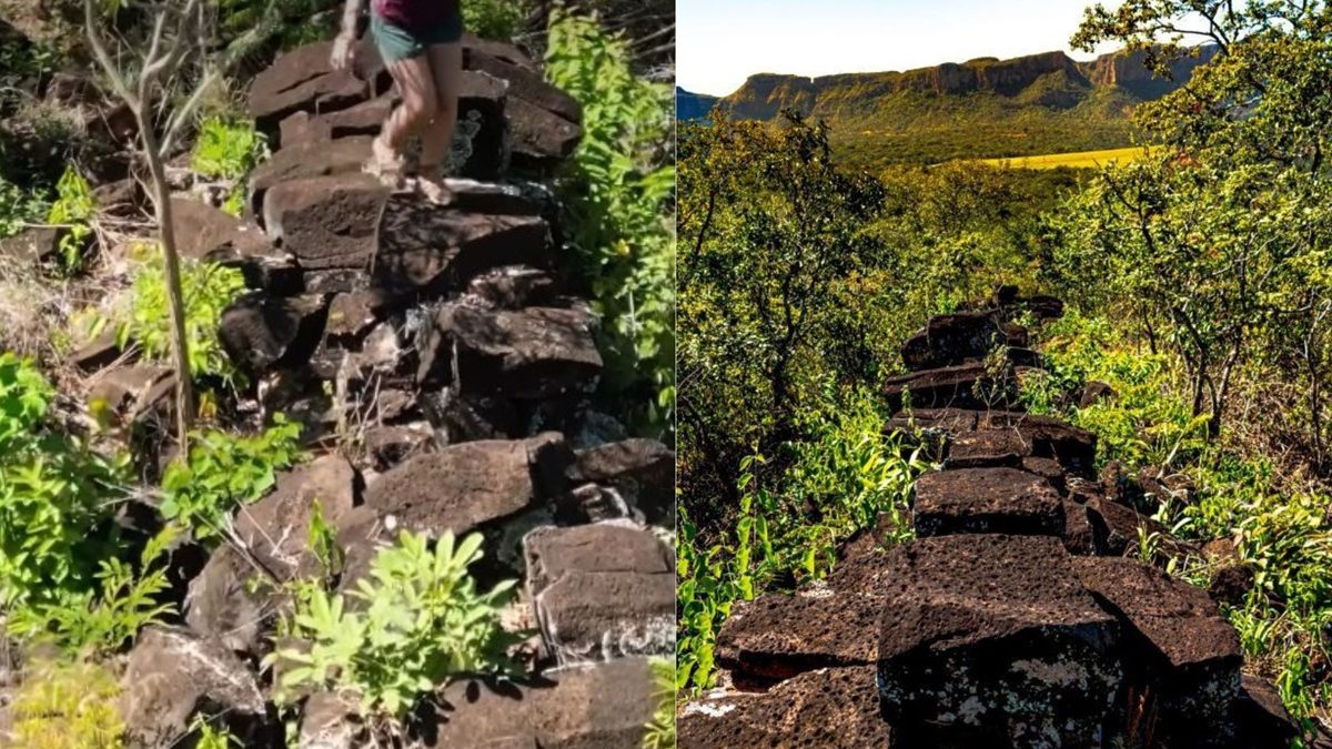 Muralha da China brasileira com pedras de vulcão e óleo de baleia ‘tira o sono’ de cientistas