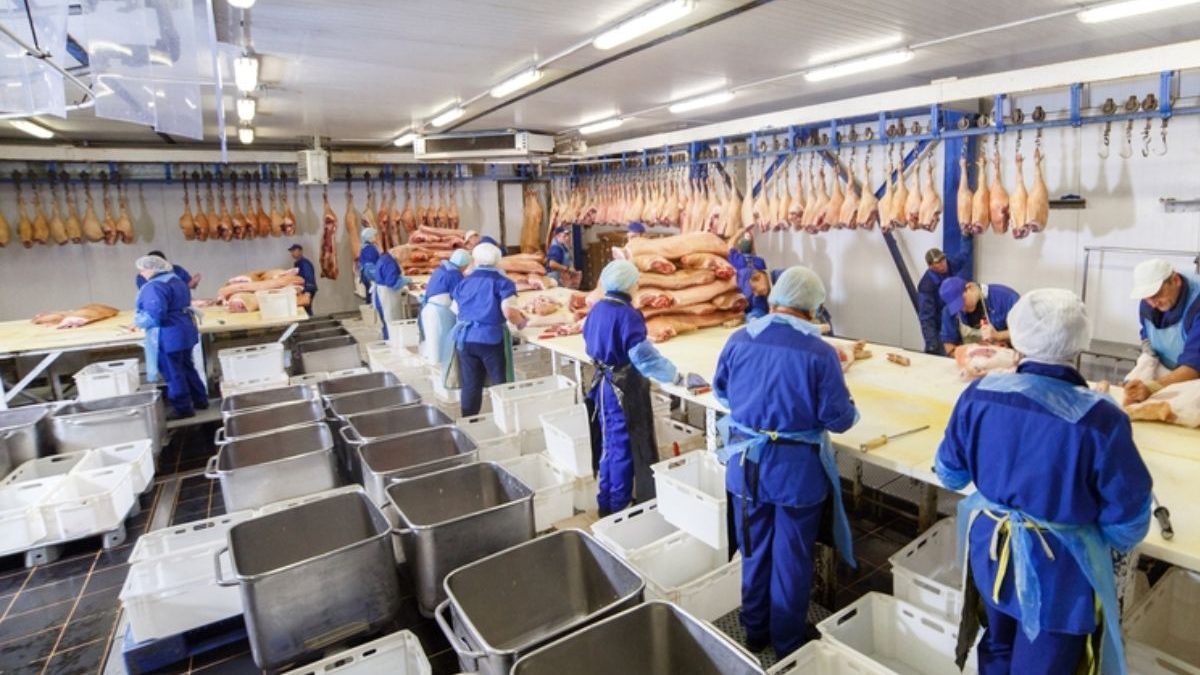 Funcionária chamada de ‘gorducha’ e atingida com coxa de frango será indenizada em SC