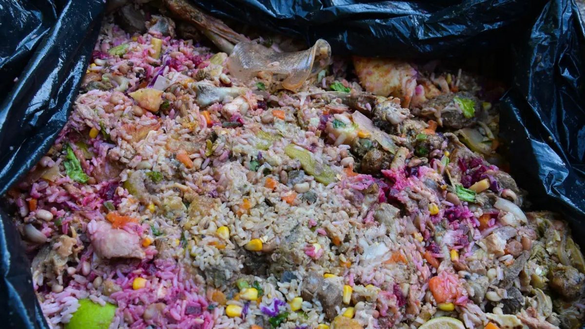 Nova lei para doação de comida pode dar fim ao desperdício de mercados e restaurantes