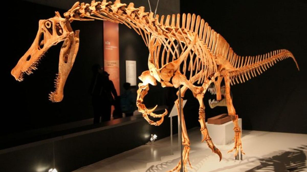 Roubo de fóssil de dinossauro terá ‘investigação especial’ em parque de SC