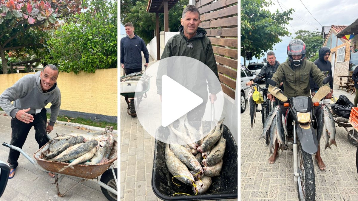 ‘Ninguém conseguia’: pescadores ‘raiz’ passam noite no mar e capturam 11 mil tainhas em SC