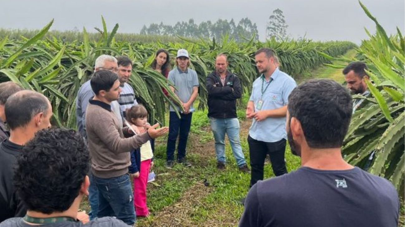 Pesquisadores visitam produtores de todo o estadoFoto: Divulgação/Epagri/ND Mais