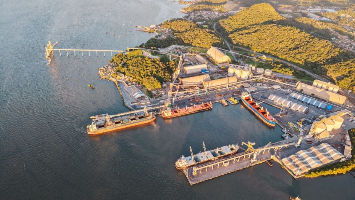 Exportação de soja para China acelera movimentação de cargas no maior porto de SC