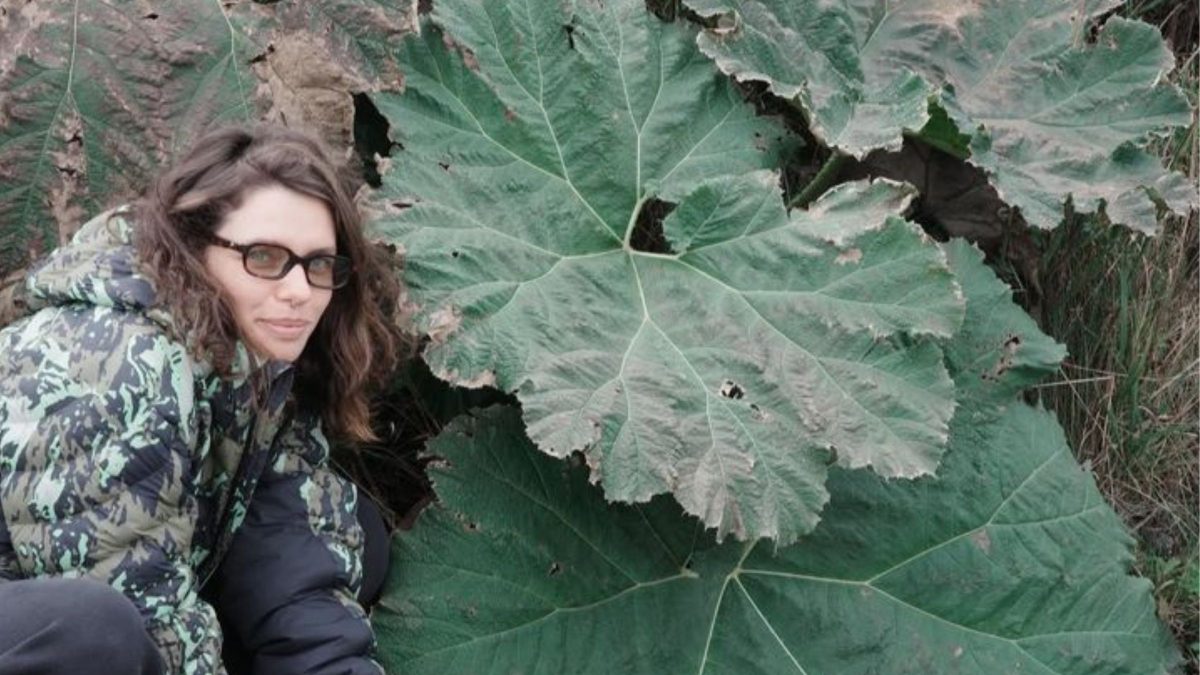 ‘Comida de dinossauro’: planta gigante nativa de SC chama atenção de atriz na Serra