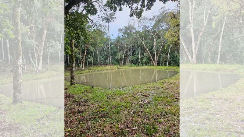 Chalé Aconchego da Serra - Divulgação/Airbnb/ND Mais