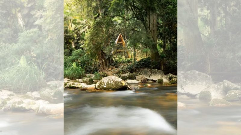 Chalé das Hortênsias - Divulgação/Airbnb/ND Mais