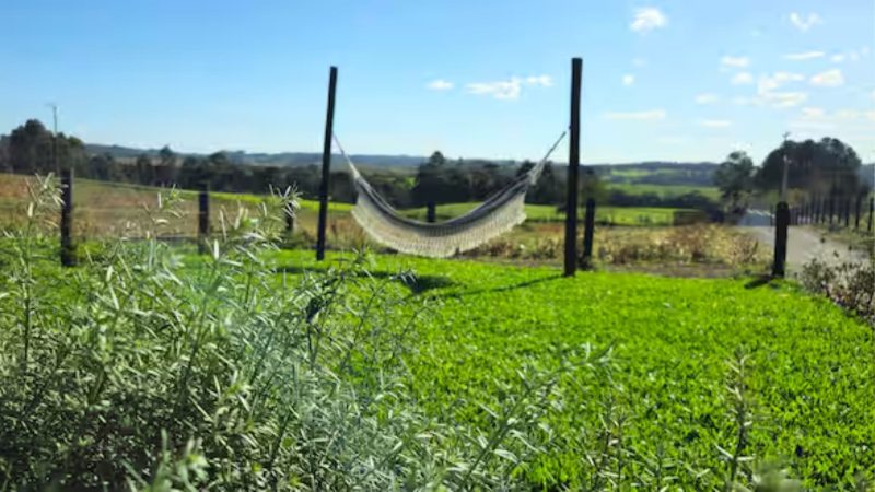 Chalé Flores do Campo - Divulgação/Airbnb/ND Mais