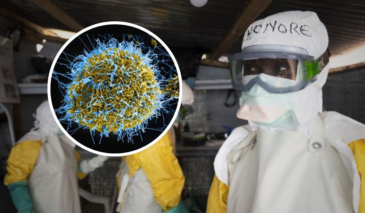 Novo surto de ebola na África é provocado pelo vírus Bundibugyo
