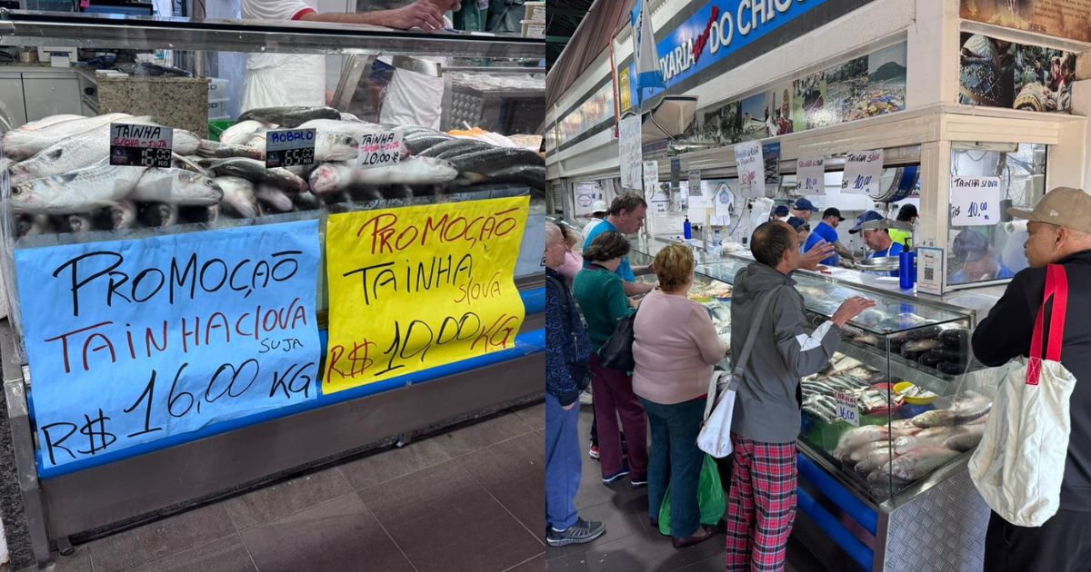 'Surpresa para todos': SC tenta vender tainhas em outros estados após preços despencarem