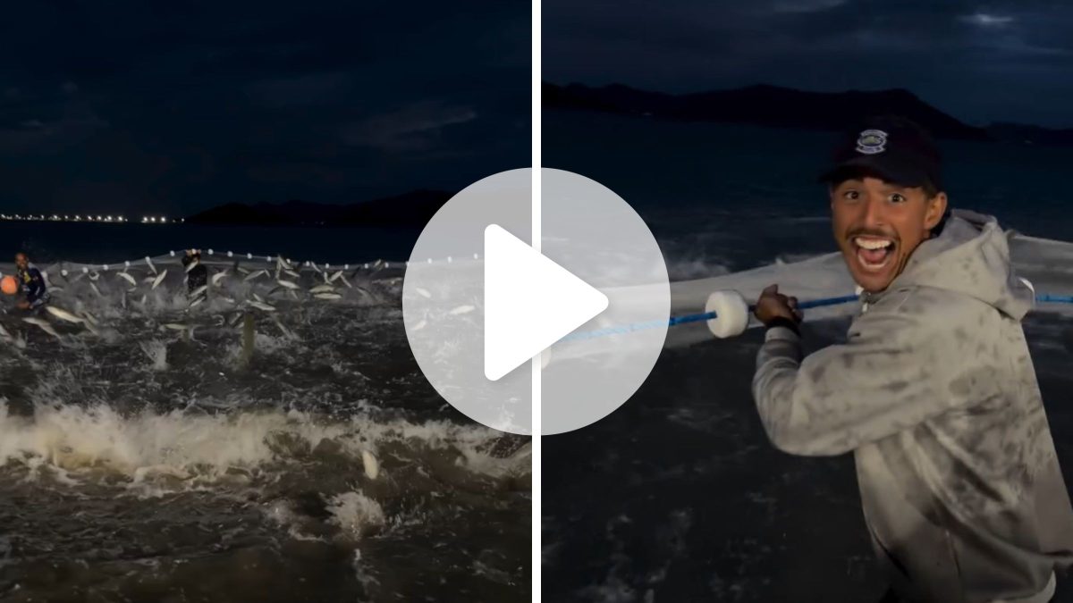 ‘Nem amanheceu ainda’: pescadores de tainha começam a semana com rede cheia de peixes