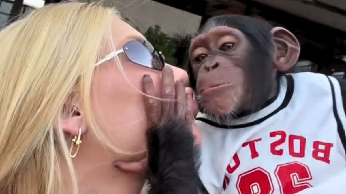 Virginia Fonseca beija macaco após término e é alvo de críticas na web: 'Indireta pro