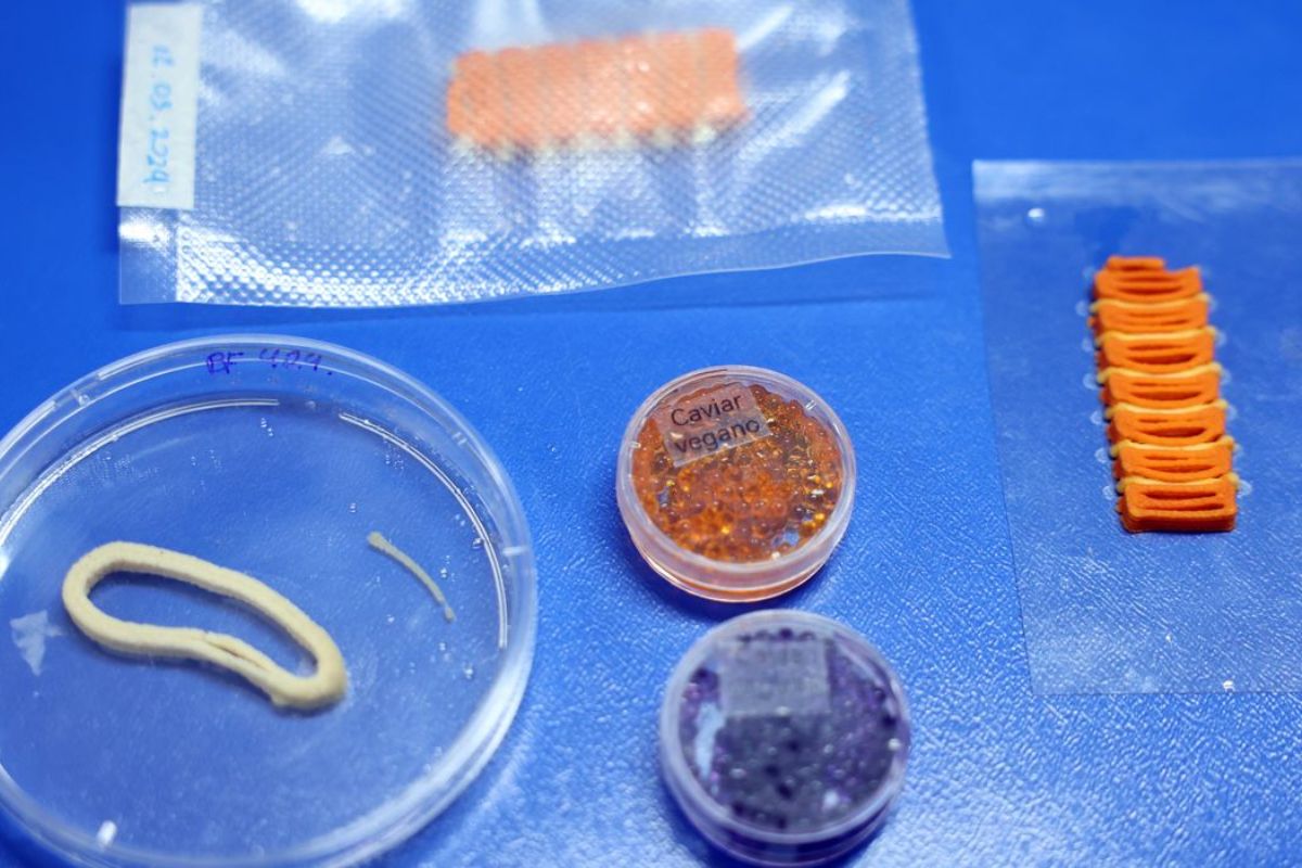 carne cultivada em laboratório da embrapa, em concórdia, santa catarina