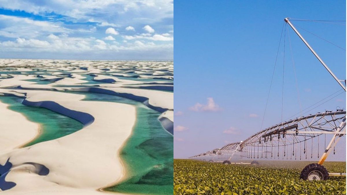 Economia e poder: a influência do agronegócio e turismo do Piauí na política local