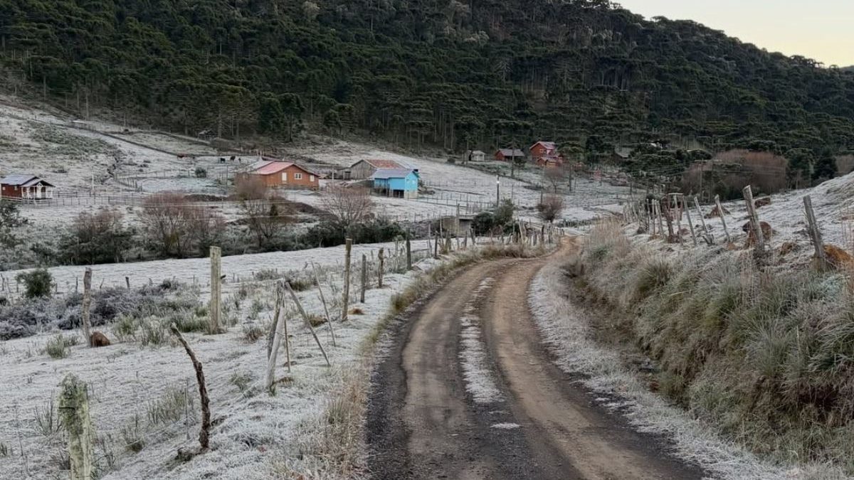 Frio de até 3°C: Inmet alerta para geada em seis estados nesta quinta (18)