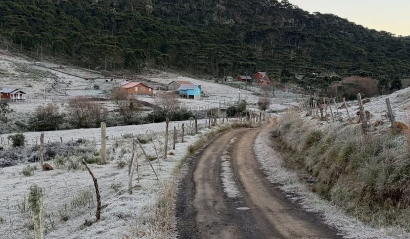 Ar frio traz chances de geadas - Santa Catarina/santacatarinaemfotosbr/Instagram