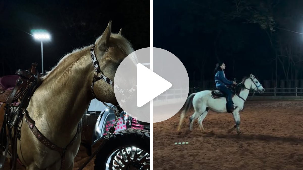 Ana Castela compartilha treino a cavalo e reação emociona seguidores: ‘Bonitinha’