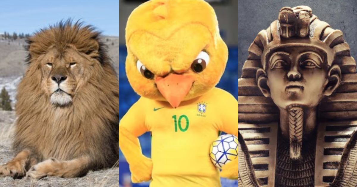 ‘La Roja’, ‘Canarinho’ e ‘Les Bleus’: veja quais os apelidos das seleções na Copa do Mundo