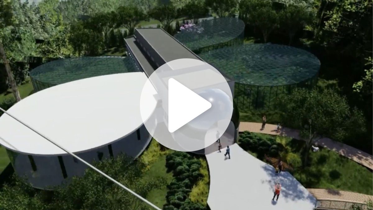 VÍDEO: Criciúma quer construir primeiro borboletário de SC em prédio em formato