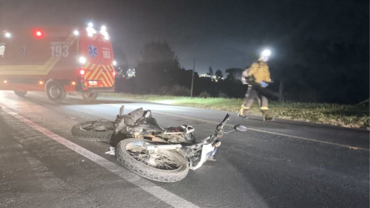 Cervo atravessa rodovia e provoca acidente com motociclista em SC