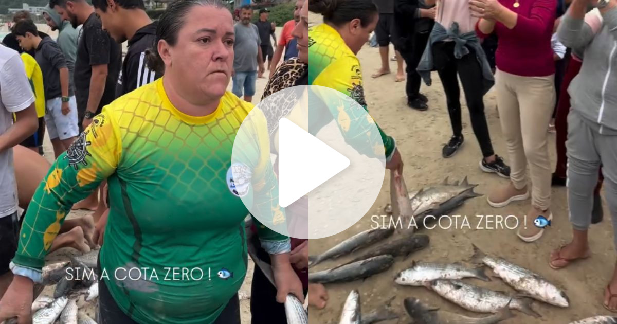 Pescadores protestam pela retomada da pesca da tainha com cerco em SC: ‘Chega de passar