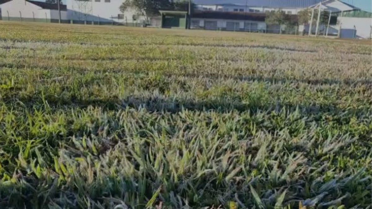 Frio abaixo de zero traz 5ª geada do ano para cidade de SC