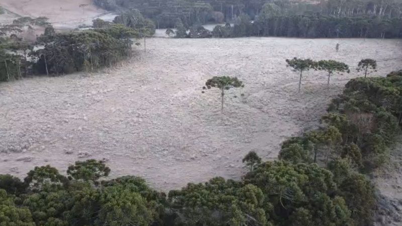 Geada em São Joaquim nesta sexta-feira (26) - Wagner Urbano/NDTV RECORD/ND Mais